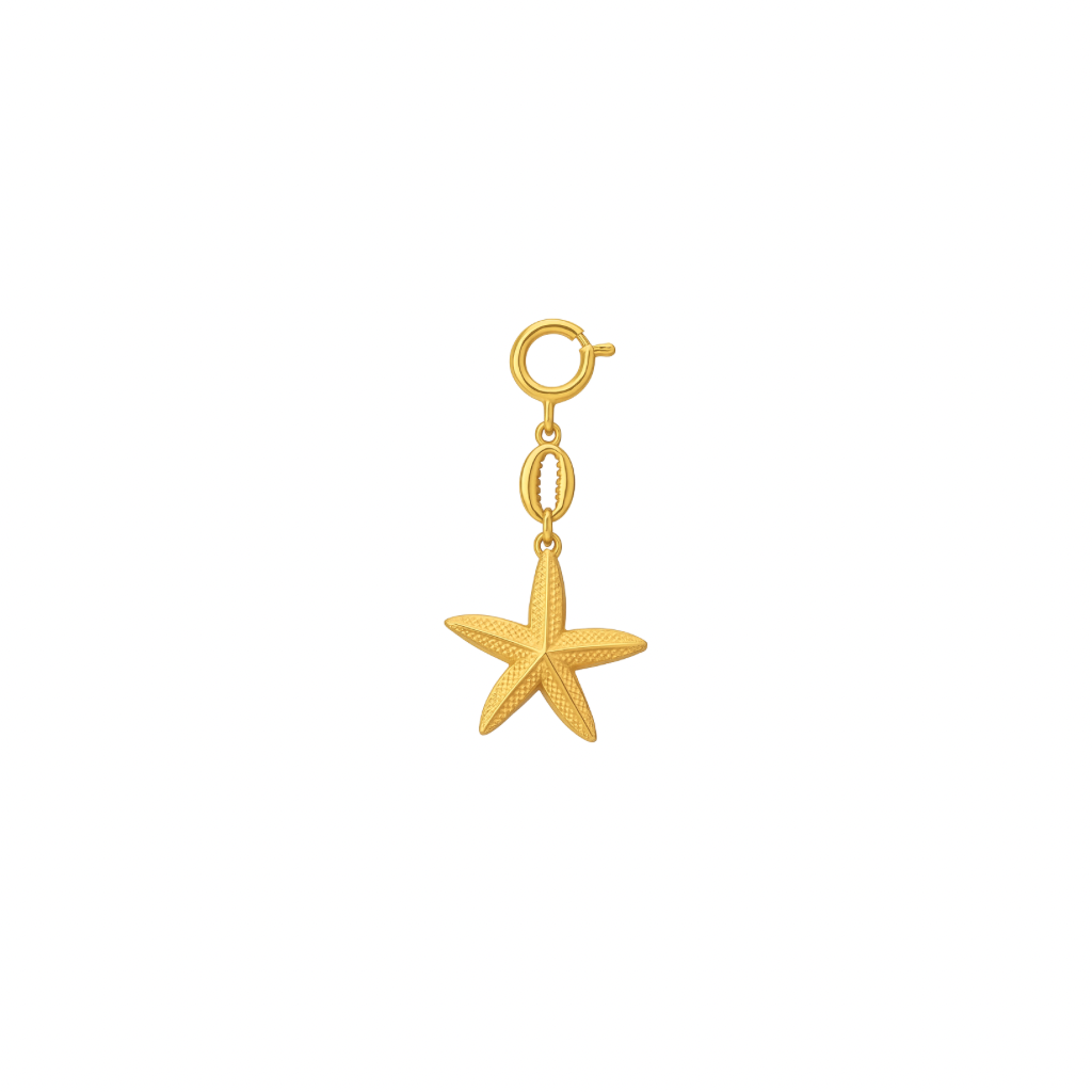 Goldener taschen Anhänger mit seestern